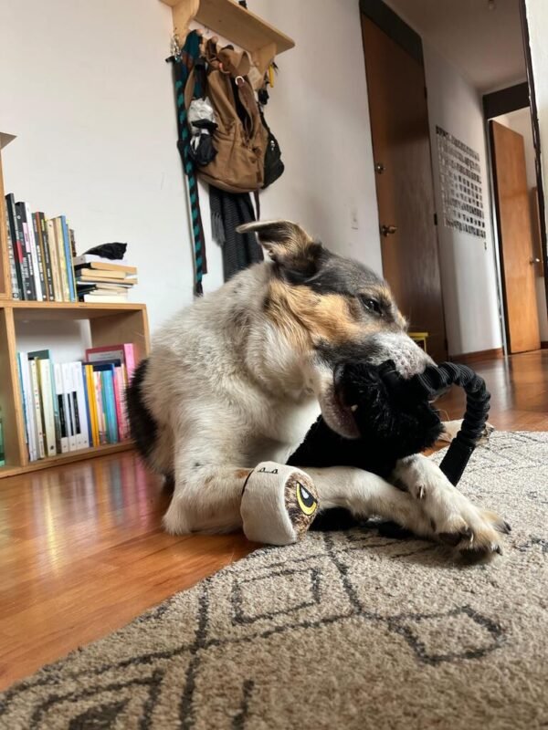 Imagen #1 de Juan Diego