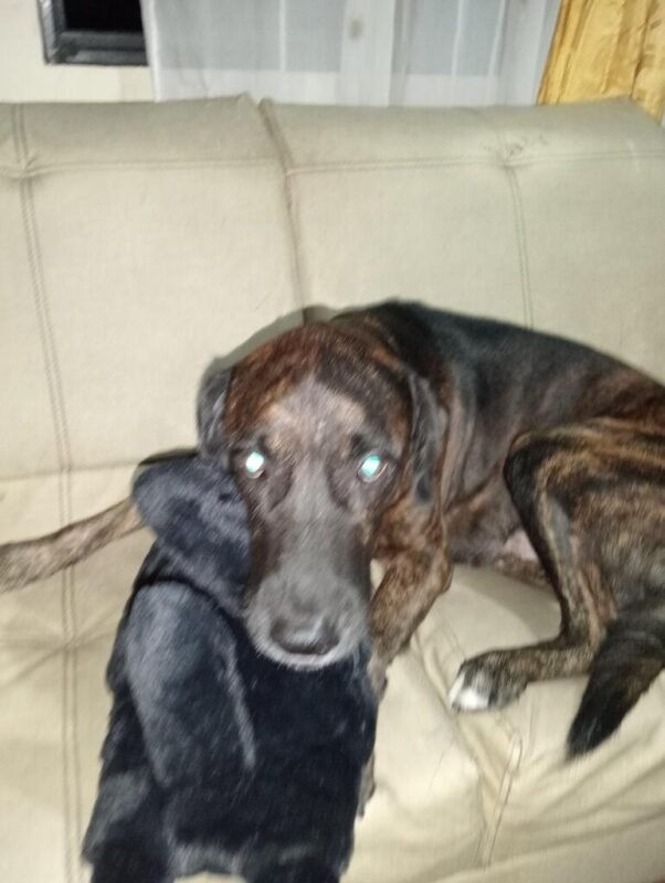 Imagen #2 de Edgna Margarita Quiroga Ortiz