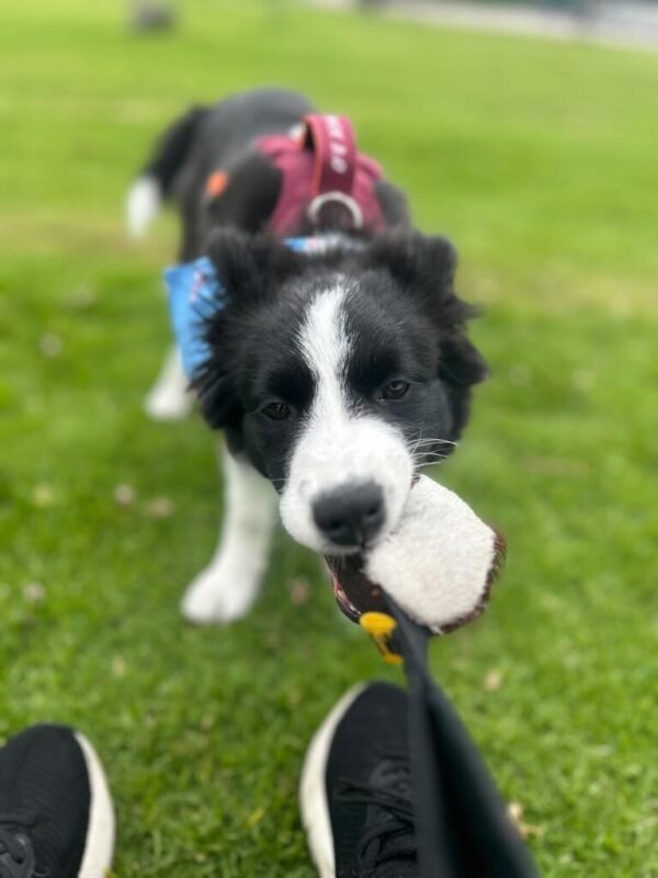 Imagen #1 de Karina Sierra