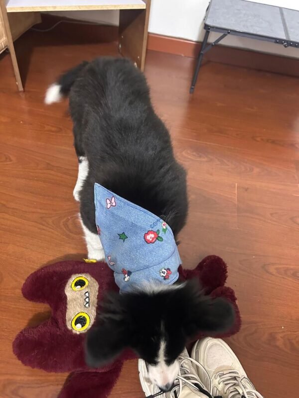 Imagen #1 de Karina Sierra