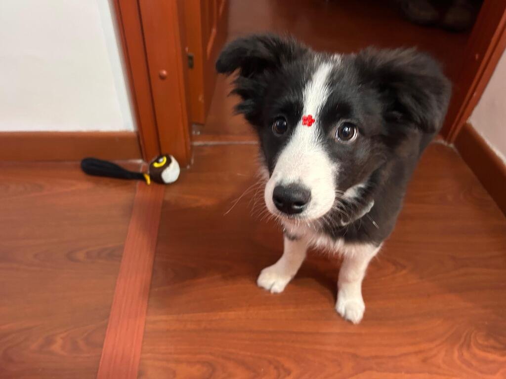 Imagen #2 de Karina Sierra