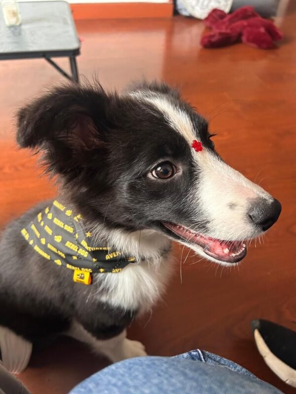 Imagen #2 de Karina Sierra