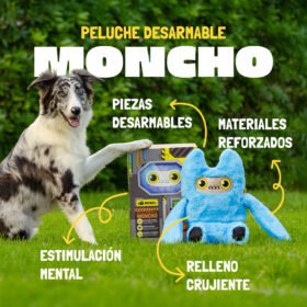Moncho