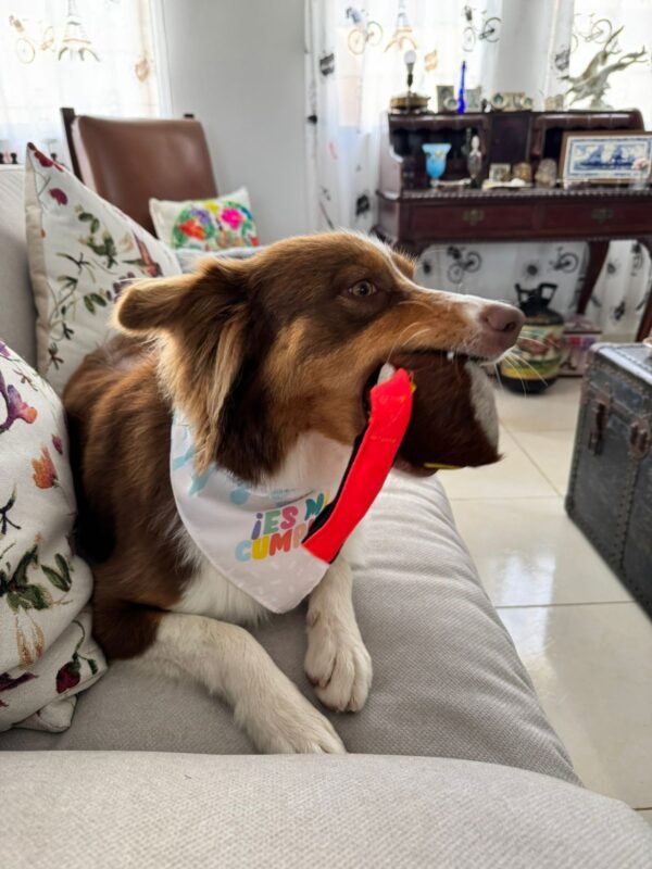 Imagen #1 de Laura M.