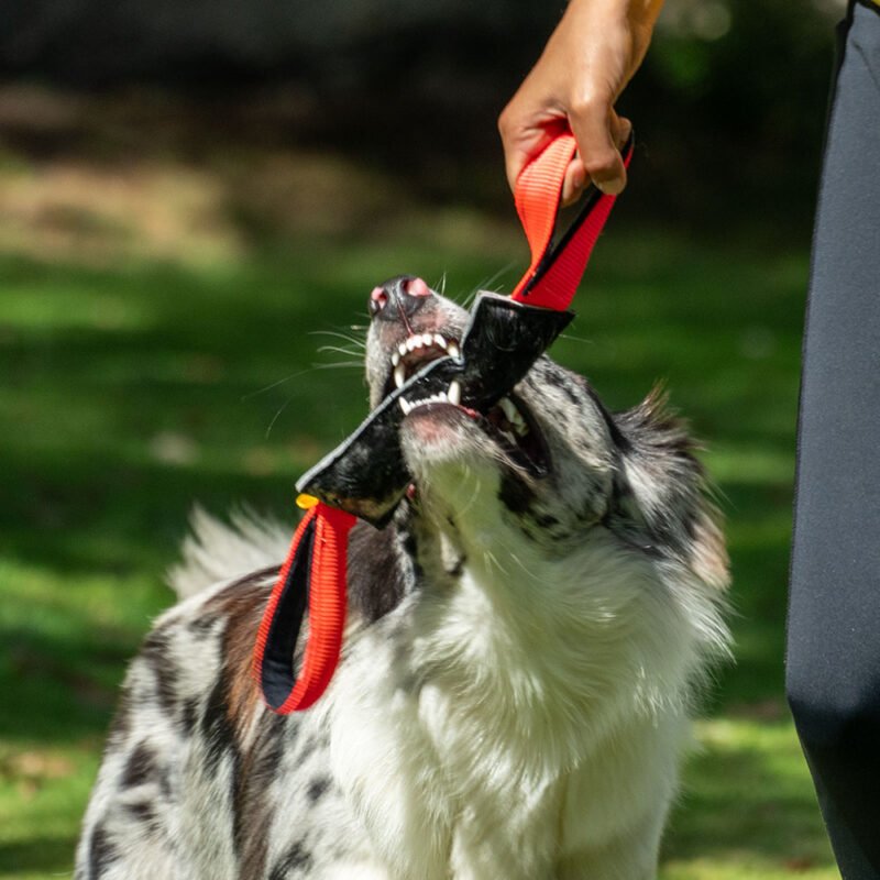 Alternative view of Mordedor Strike