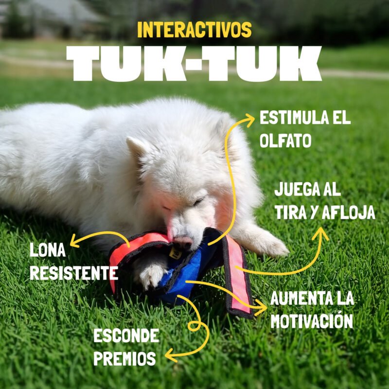 Alternative view of Tuk-Tuk