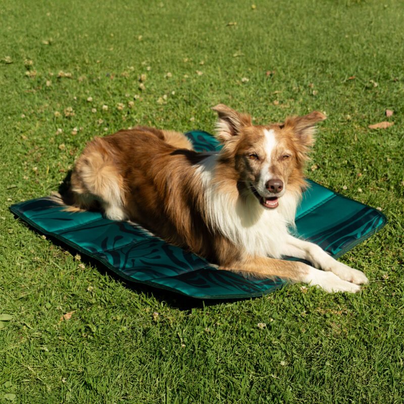 Alternative view of Kit Aventura Moncho