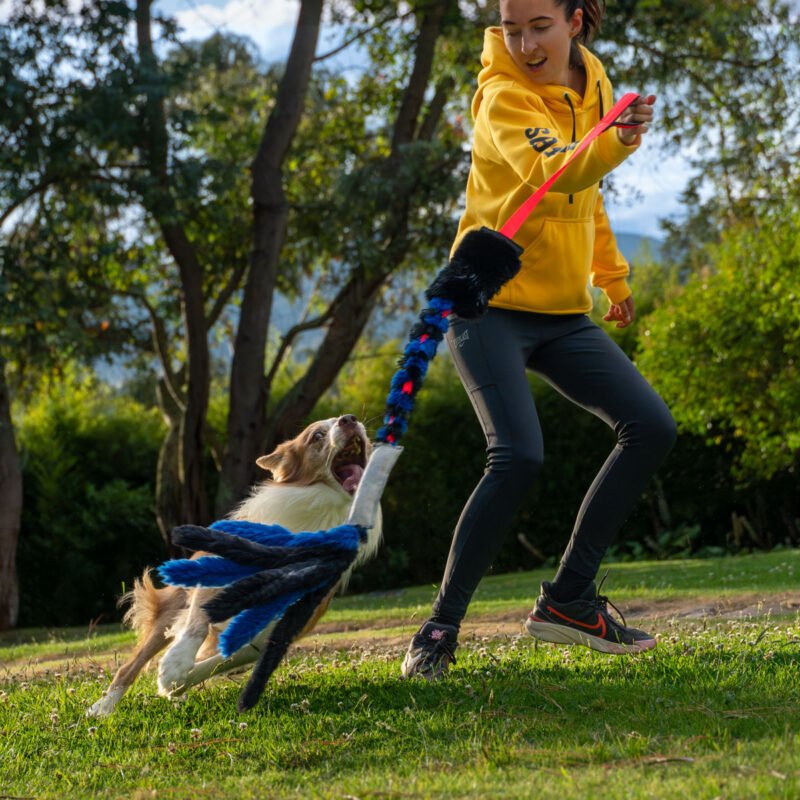 Alternative view of Vito