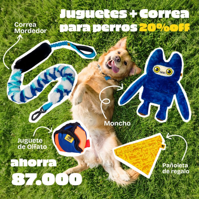 Kit Flash Sale Moncho