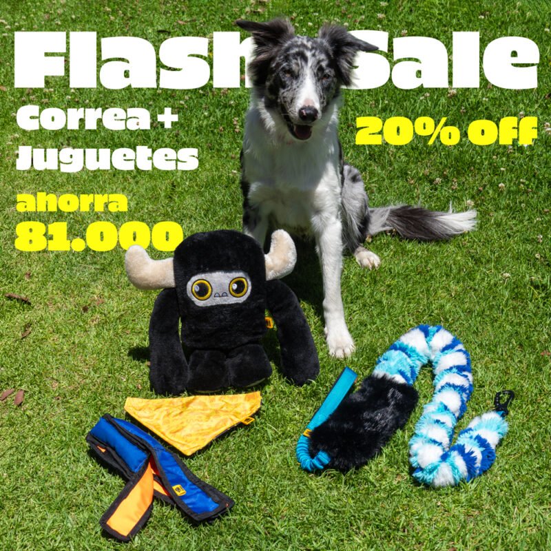 Kit Flash Sale Monti